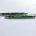 Grand Lodge Pens with Square and Compass