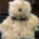 Teddy - Will
